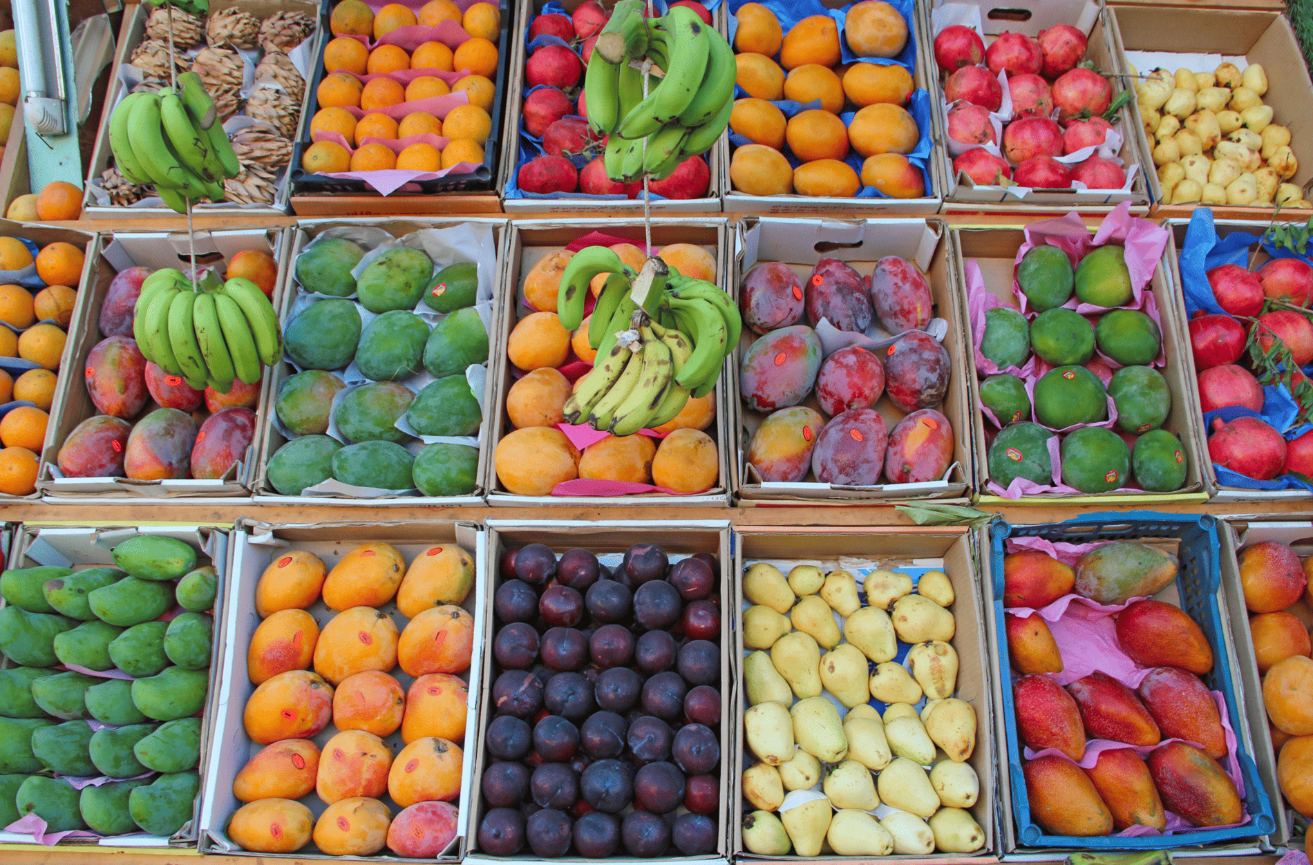 Transfer Gastronómico por Mercados Tradicionales: Sabores Auténticos de Euskadi
