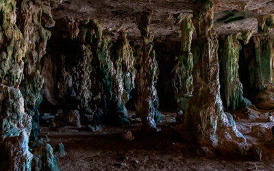 Transfer to Caves and Geoparks of the Basque Country: Ekainberri, Santimamiñe, and more