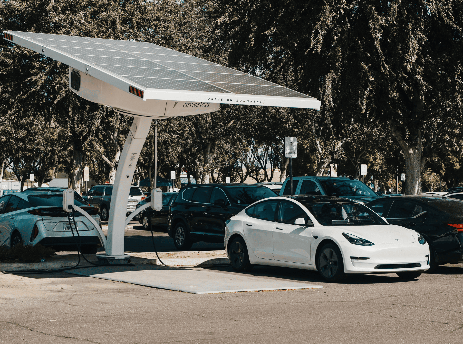 Transfer Eléctrico en Bilbao: La Nueva Era del Transporte Sostenible y Confortable