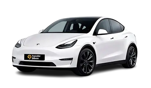 Tesla2