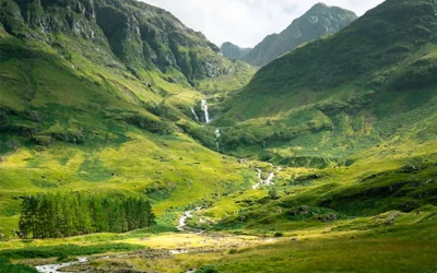 Private Transfer for Autumn Routes: Magical Forests and Landscapes of Euskadi